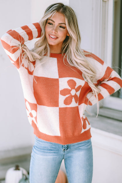 Long Sleeve Crew Neck Colorblock Sweater