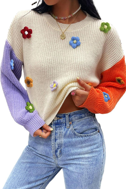 Long Sleeve Crew Neck Pullover Knit Sweater